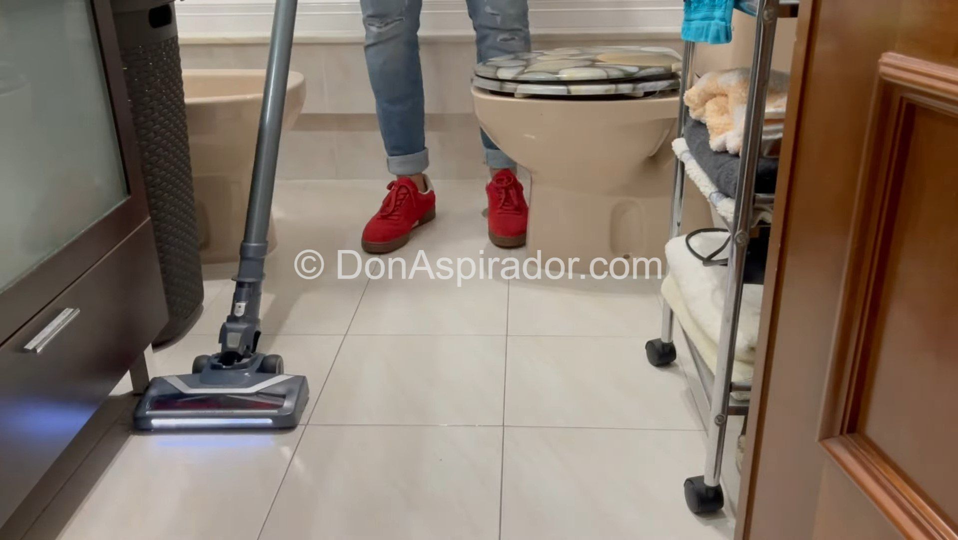 Rowenta XPert 6.60 opiniones