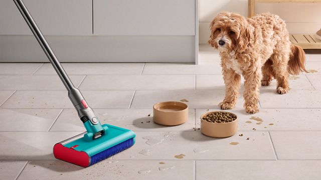 Mejor aspiradora sin cable para mascotas