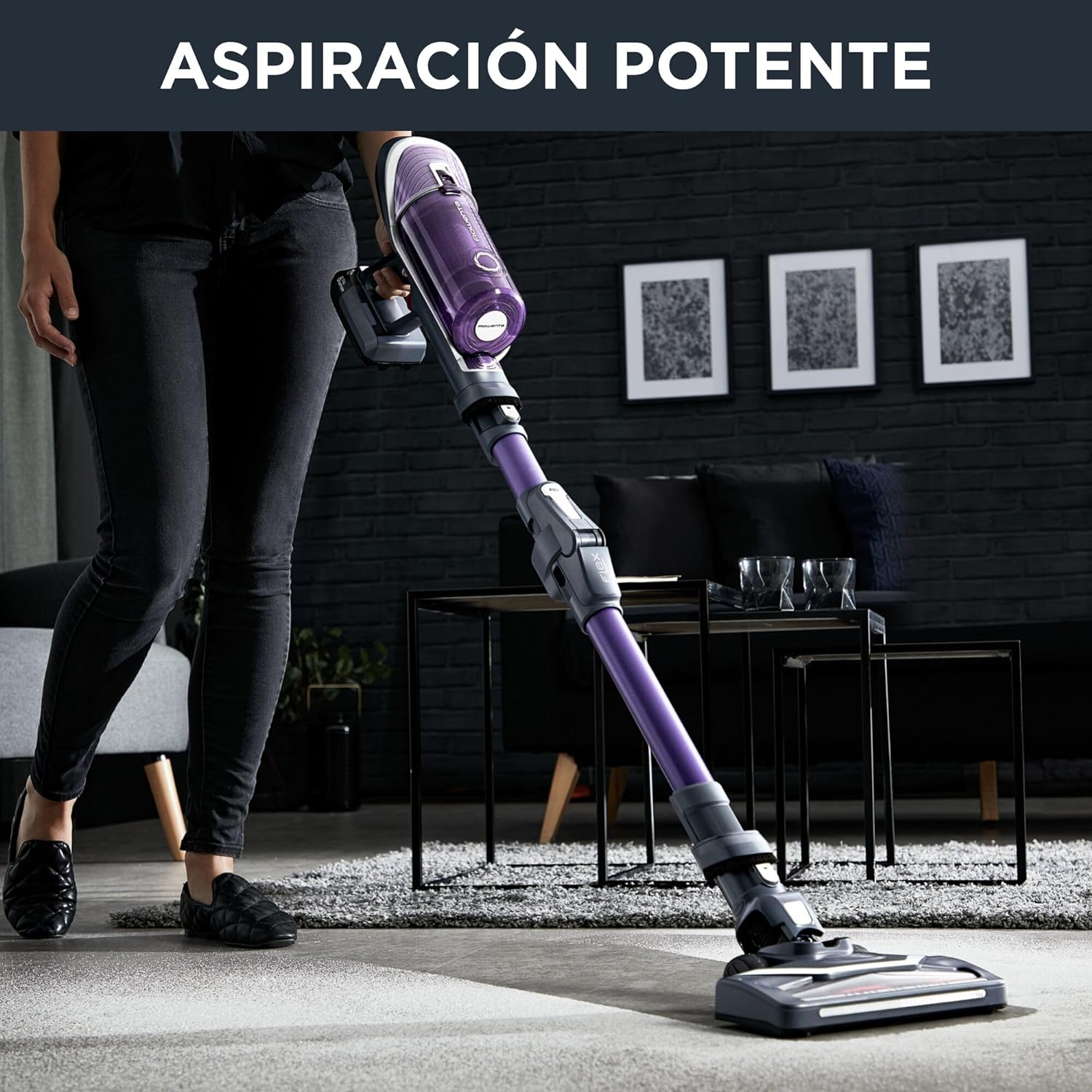 Aspiradora sin cable Rowenta XForce Flex 8.60