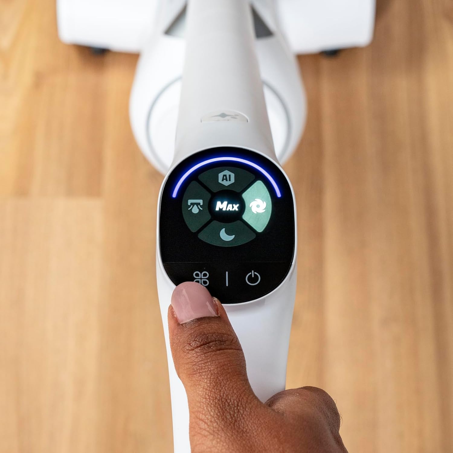 Rowenta X-Clean 10 review opiniones