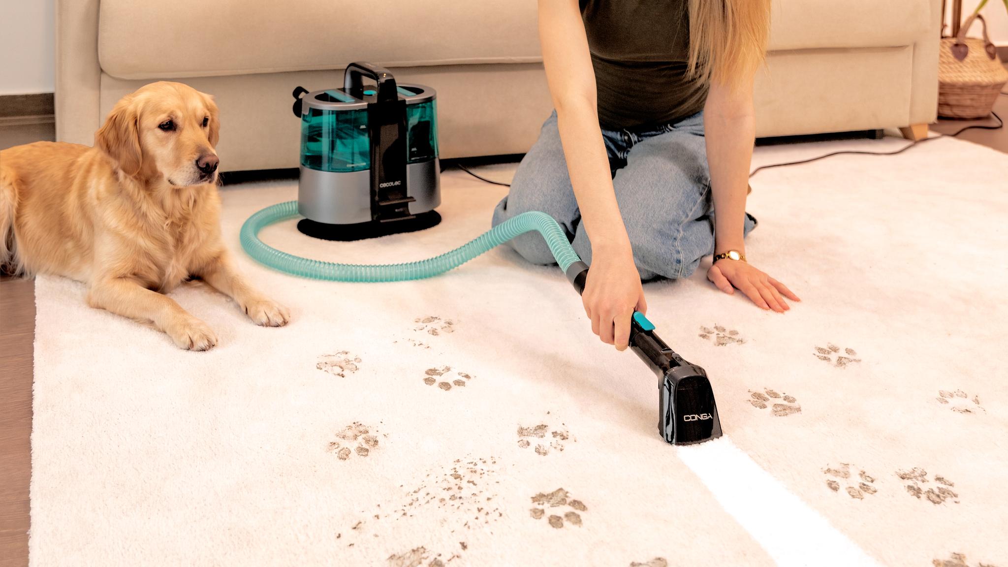 Conga 6000 Carpet&Spot Clean XL analisis opiniones
