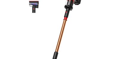 Dyson V16 Piston Animal Submarine opiniones