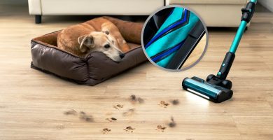 aspiradora sin cable recogiendo pelo de perro junto a su cama