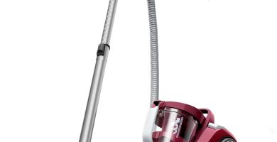 Rowenta Compact Power XXL opiniones